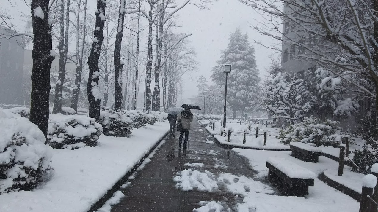 雪の富山大学